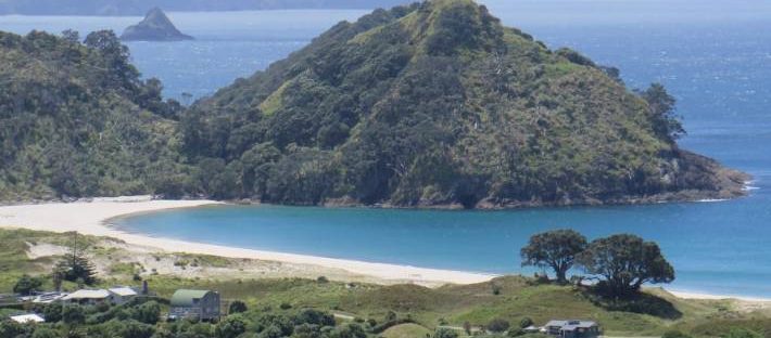 Rekomendasi Rekreasi Selandia Baru